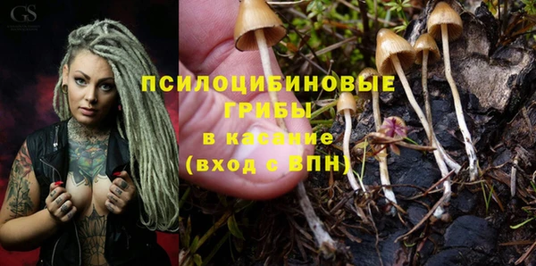мет Балахна